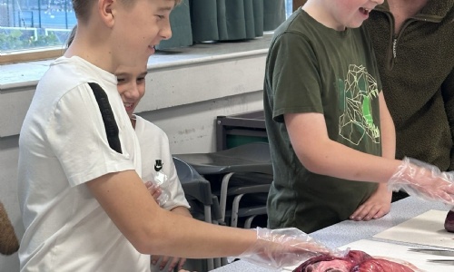 image related to Corridors Buzz as Over 1,000 Visitors Attend Spectacular Open Evening